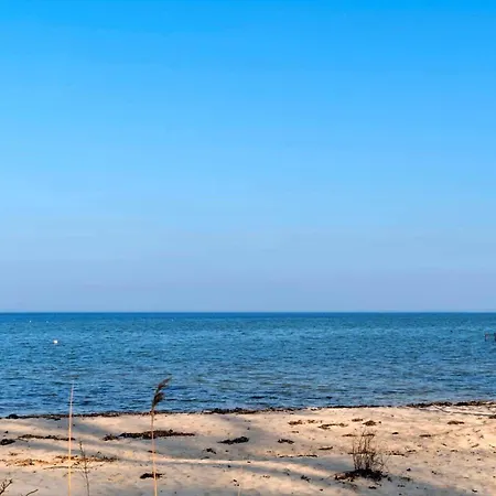 Sj282-haderslev-podehaven-6 *